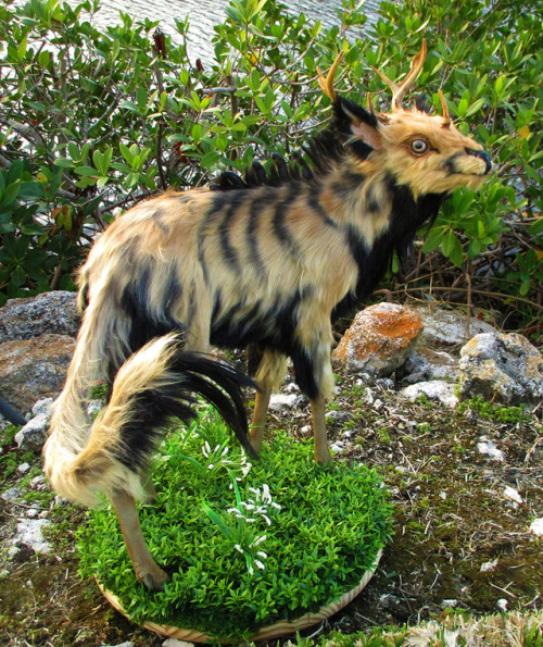 A Little Kirin~