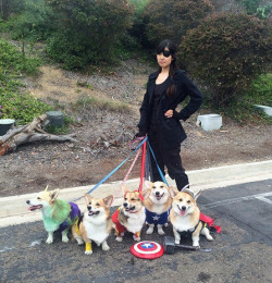 rbgprods:  edwardspoonhands:  tastefullyoffensive:  Corgi Avengers [via]  Instant reblog!  &ldquo;You’re all puppies…tangled in…leashes.&rdquo;  X3! D'awww~! &lt;3