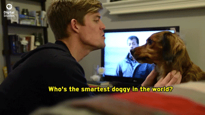 asapscience:  pbsdigitalstudios:  Two of our hosts, Joe and Vanessa, have teamed