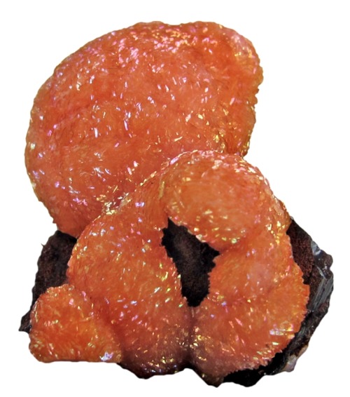 Orange botryoidal Rhodochrosite from Mexico