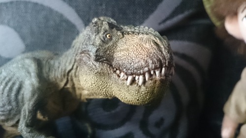 ALSO! My Papo Tyrannosaurus arrived today! He’s terrific, and he has pride of place on my desk now. 