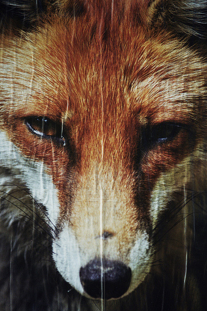 brutalgeneration:  untitled by o superman on Flickr. 