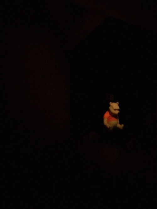 carsonphillips:i tried taking a picture on the winnie the pooh ride at disney world and this is all i got