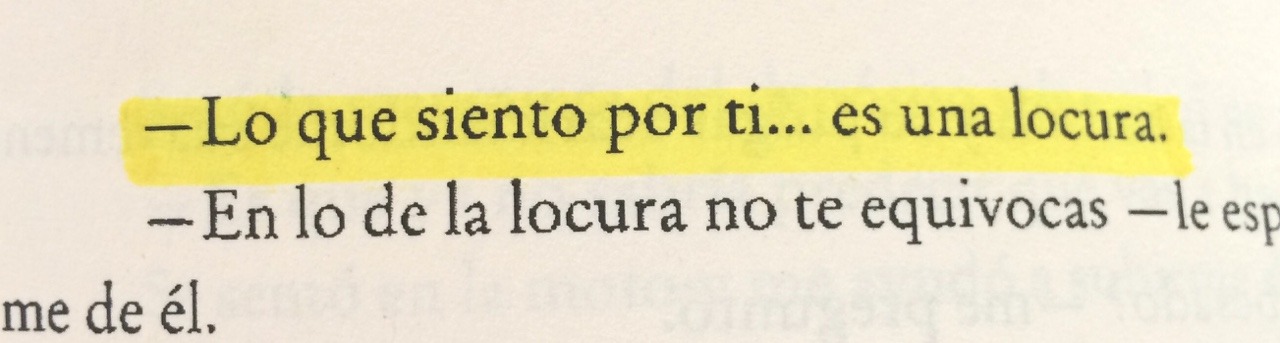 tienes-un-frijolito-en-el-diente:  -Maravilloso desastre.