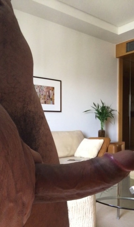 brazilianbamboo2:  BZB #499