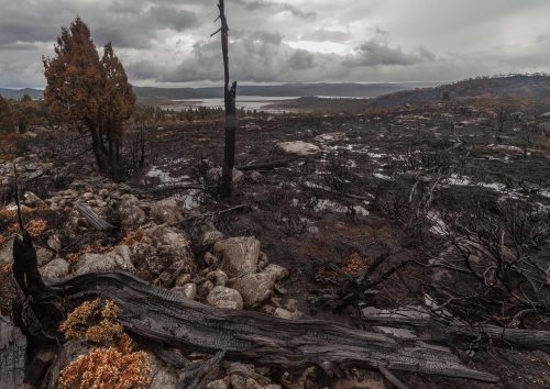 Before and after, a picture of devastationJust a few days ago I reported on the ongoing burning of t