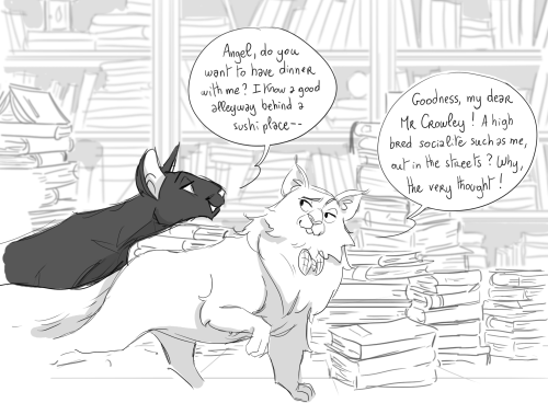 gayforgoodomens:i watched the aristocats for inspiration and. duchess and aziraphale are both huge t