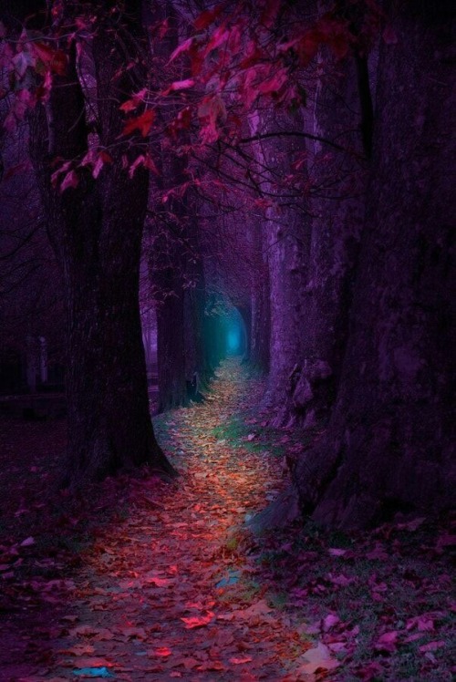 sacredcharm:  S A C R E D C H A R M  A path that leads to untold adventures…