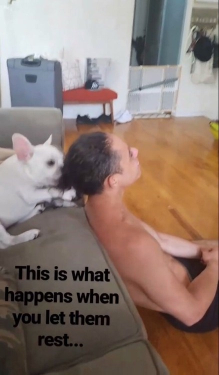 jan-thony:Happy Father’s Day to our favorite dog dad!