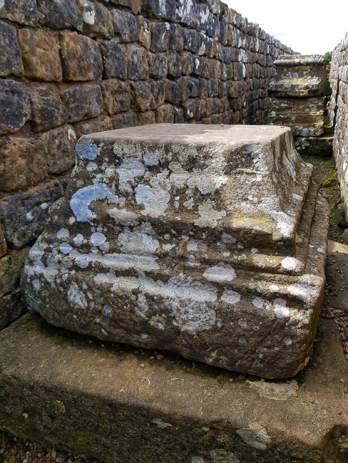 thesilicontribesman:Housesteads Roman Fort, Hadrian’s Wall, Northumberland, 13.5.18.