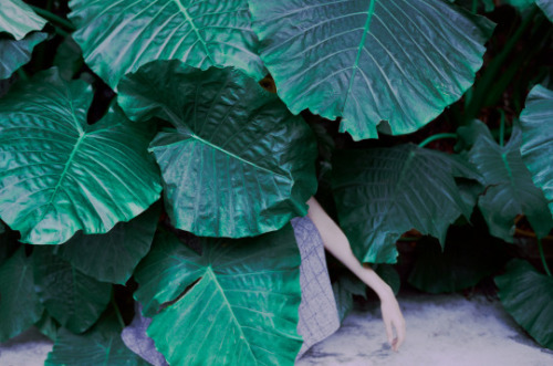 wetheurban: Cielo Yu A selection of spontaneous, visual discoveries by Taiwanese photographer Cielo Yu.  Grow with us @ Instagram.com/wetheurban 
