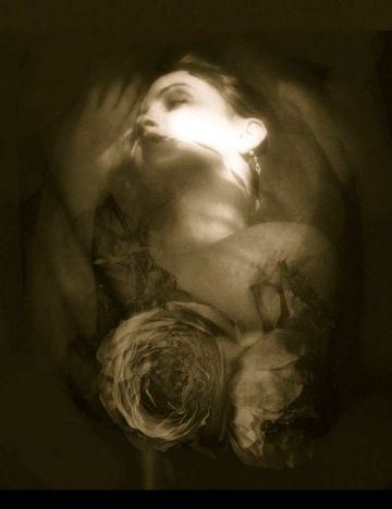 perles-d-eau-d-abyssinie:   © Josephine Sacabo  #  I Take Refuge in Roses