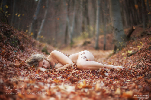 omgchoppedgoateedinosaurfan:  soft autumn leaves by frozen-moments