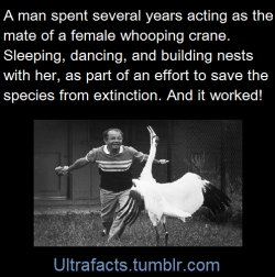 ultrafacts:    George Archibald was awarded