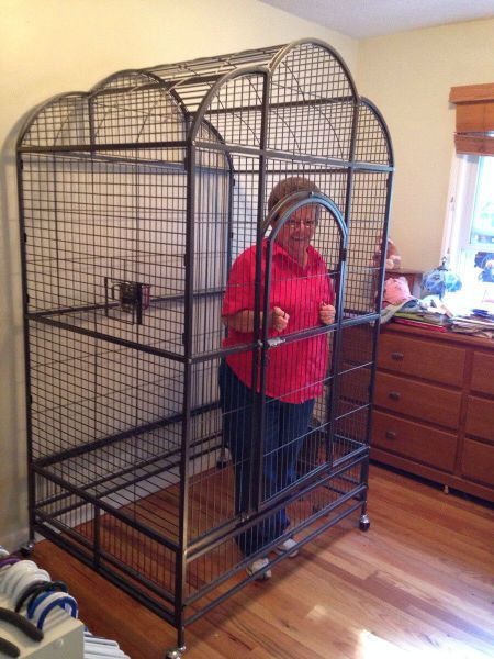 pursuitofmydick:  og-sludgebone:  When grandma starts being racist   the caption.