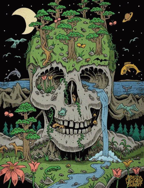 psychzdelic:  click to trip 