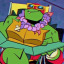 rockin-turtles