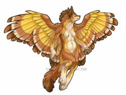 furrywolfcyrus:  Request for winged canines!