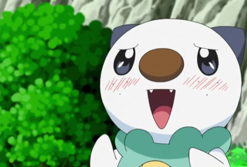 pumplr:time for some cute oshawott faces