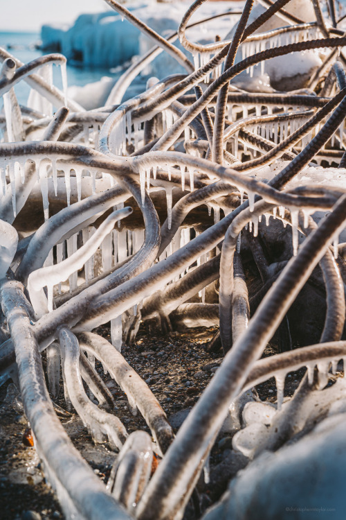 Ice + Rebar IIToronto, Canada