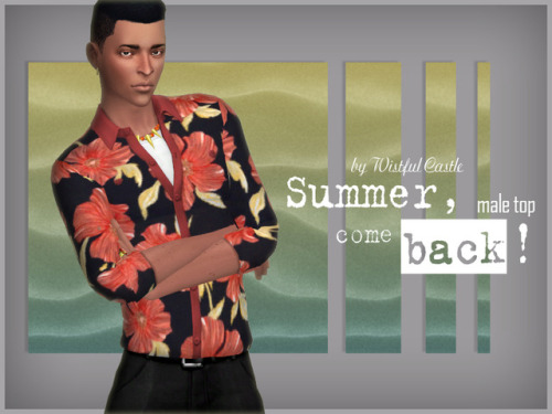 wistfulpoltergeist: Male top (shirt with vivid patterns + white t-shirt). Base game, all LOD’s