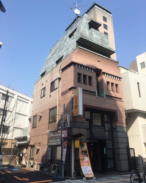 Adorable little oddity, Shinjuku, Tokyo