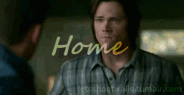 letsshootwalls:  Dedicated to the fandoms of Tumblr. I made this gif set because