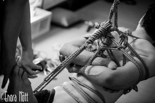 ropejuju:  ©Ropes: GorgonePhotos: Enora NottModel: RopeJuju