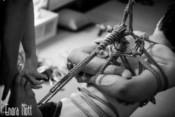 Kinbaku blog