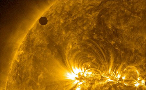 Hinode Views The 2012 Venus Transit