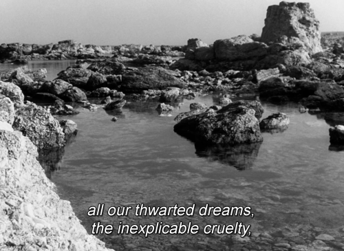 catsonmarsss:Persona (1966) | Dir: Ingmar Bergman