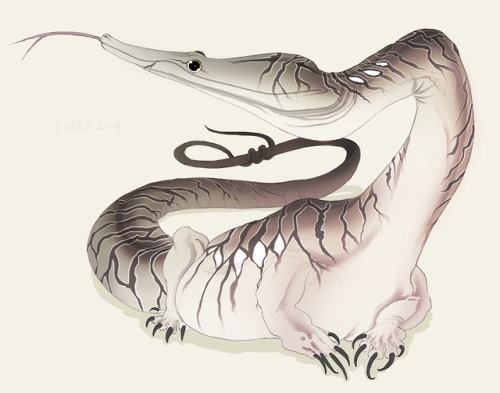 emmatheward:emmatheward: - Creature design classwork.  - eeeeeeeee 