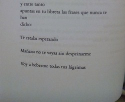 aullidosalalunallena:  Alas de mar y prosa, Escandar Algeet. 