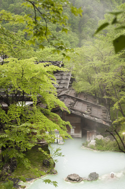 fuckyeahjapanandkorea:Shirahone onsen, Nagano