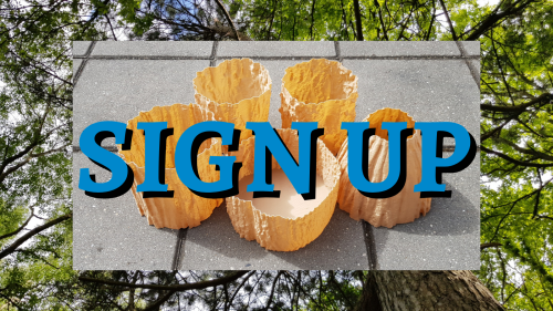 Monthly FREE tree texture 3D scan campaign - sign up for the new post notificationshttps://3dwithus.