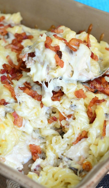 foodffs: CHICKEN BACON ALFREDO PASTA CASSEROLE Really nice recipes. Every hour. Show me what you coo
