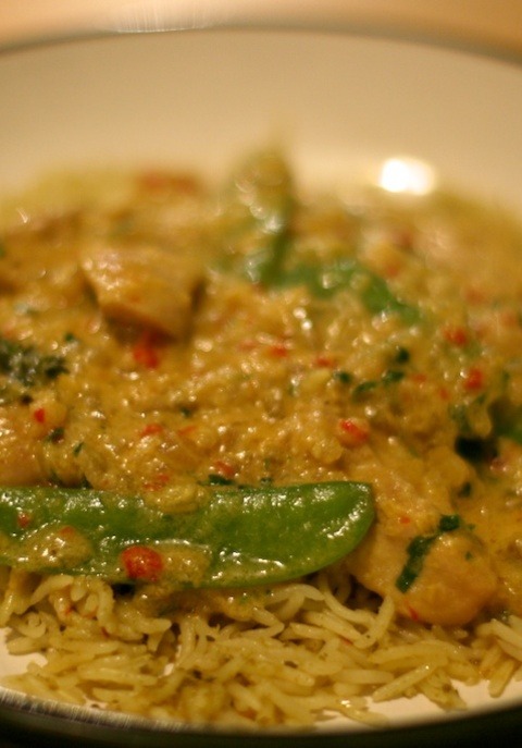 Craving Spice: Malaysian Chicken Curry