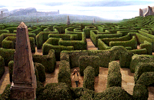 dailyflicks:So, the Labyrinth is a piece of cake, is it? Well, let’s see how you deal with thi