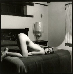 theindifference:  inrooms:  room armonia fiber-based gelatin silver print  ! 