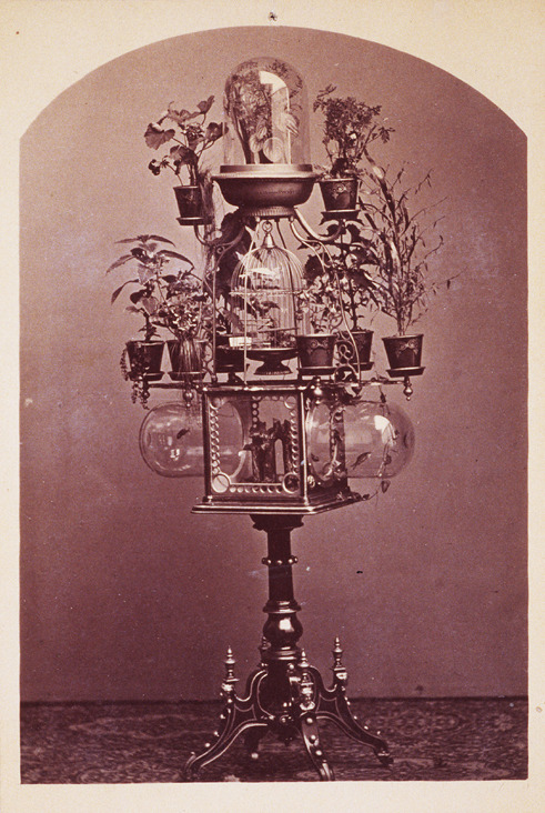 tuesday-johnson:ca. 1880, [albumen print, photograph of a combined bird cage, aquarium and plant sta