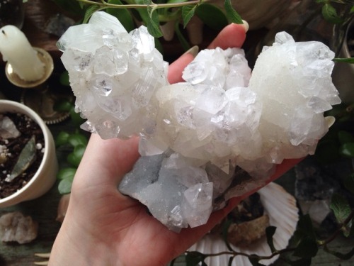 floralwaterwitch - My gorgeous apophyllite cluster ✨