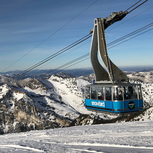 Awesome 1 Star experience @snowbird — I actually had to tighten my boots to ski this terrain and I finally experienced the Peruvian Tunnel! Thanks for the hospitality and for opening the backside @ozskier (at Snowbird)