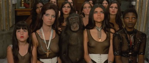 The Holy Mountain, Alejandro Jodorowsky, 1973