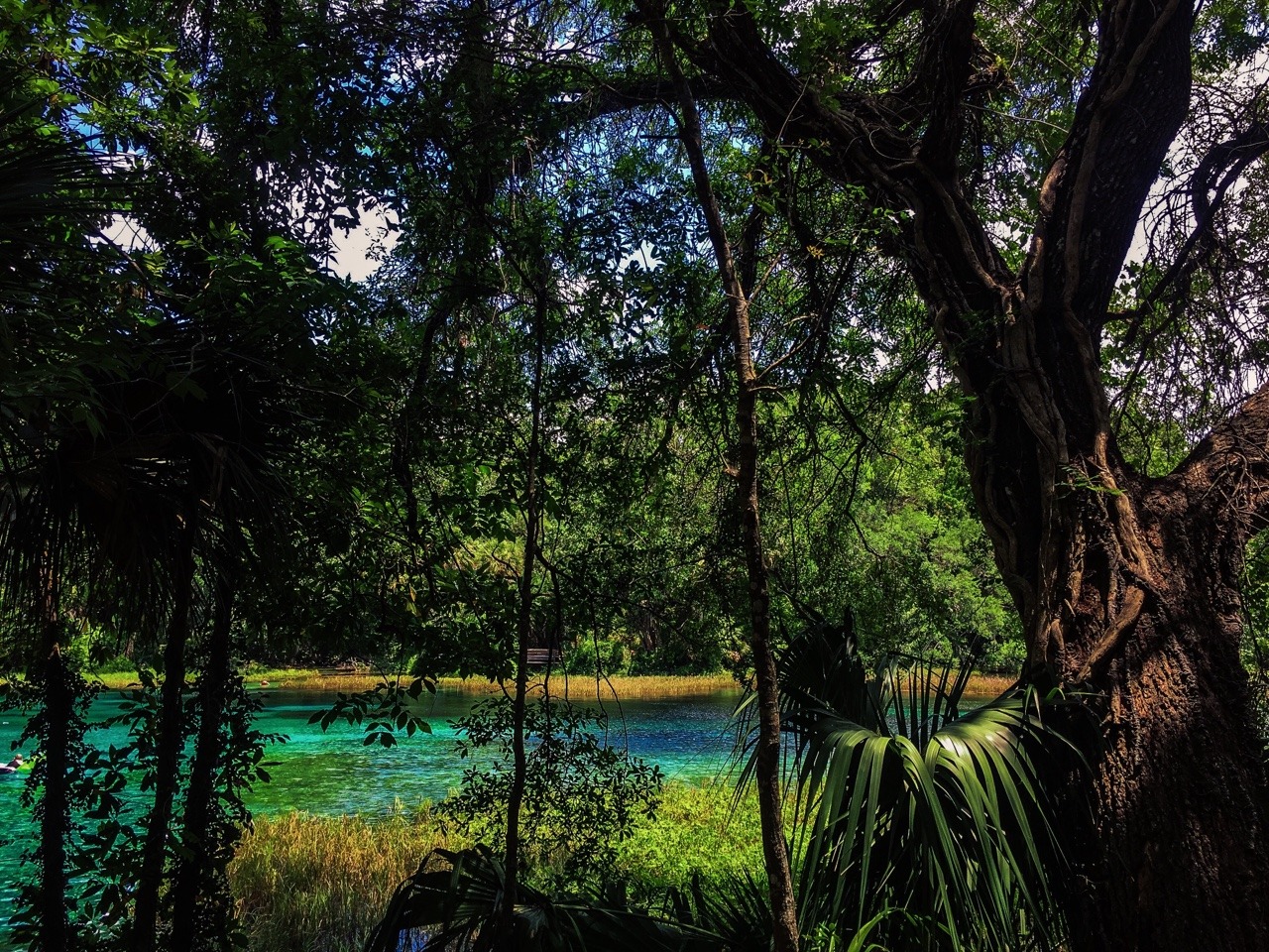manifestvibrations:We got lost and found Utopia