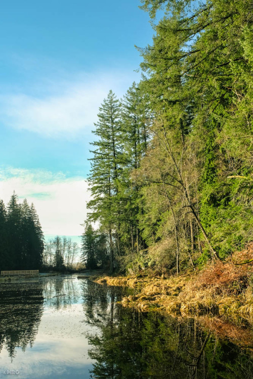 Minnekhada Park, Port Coquitlam