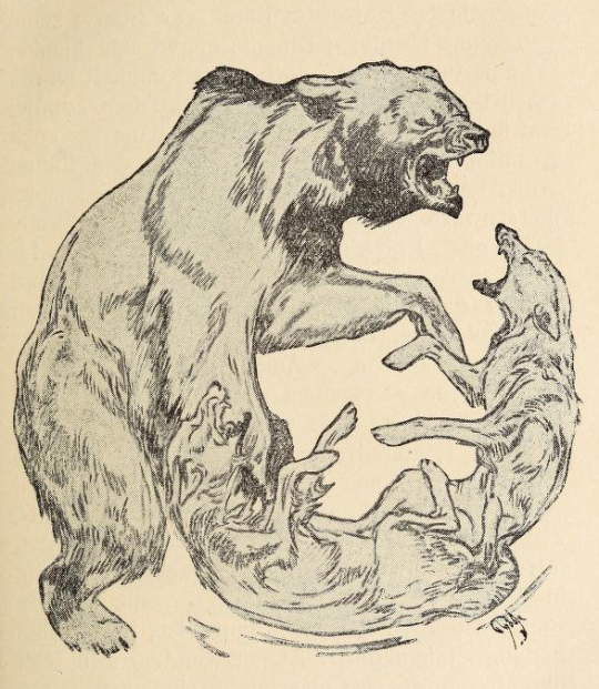 antiqueanimals:Jäger und Gejagte. Written by Charles G. D. Roberts. Illustrated by Paul Haase. 1922.