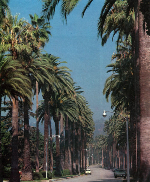 Street in L.A., AD LA edition, 1982Scan