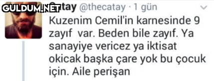 Catay @thecatay 1 gün...