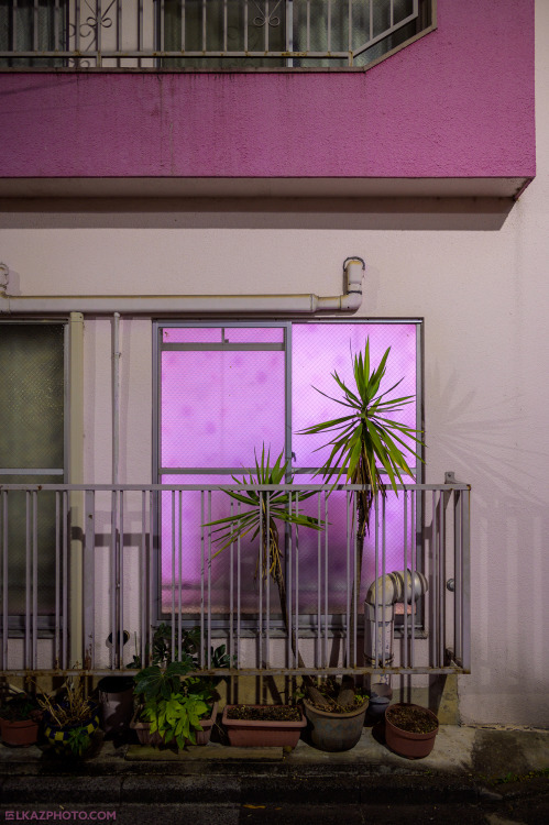 Pink Palms, Takadanobaba 高田馬場