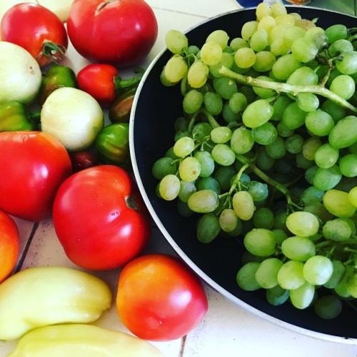 Mini harvest #fruitsandveggies #organic #letseat